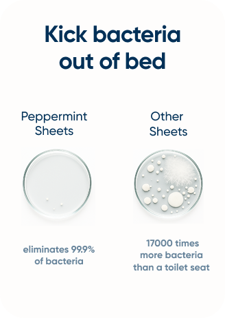 Bacteria