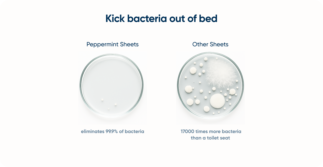 Bacteria