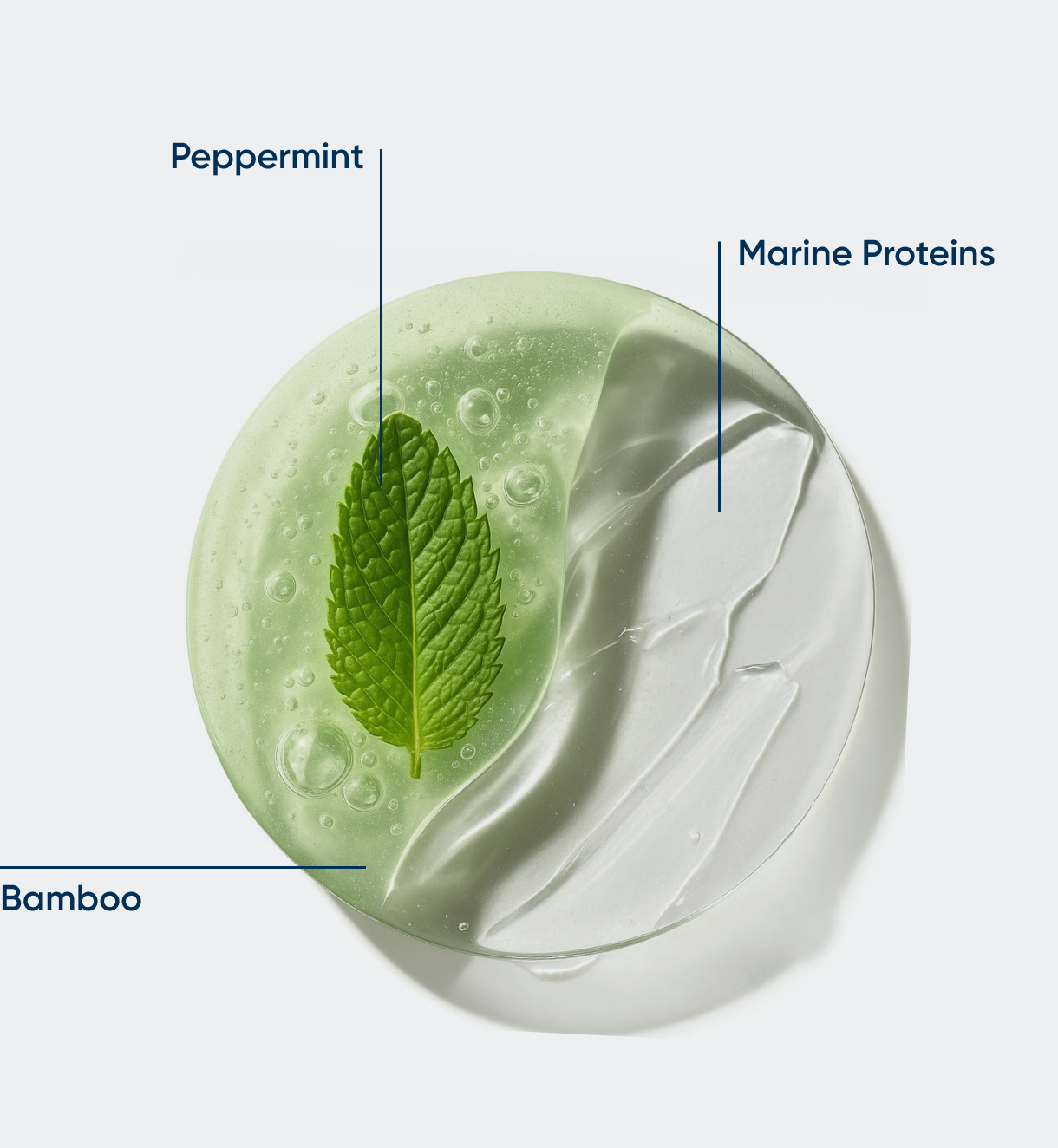 Peppermint Ingredients